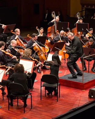 Letterbomb - Tribute to Green Day