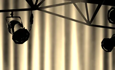 Director's Vision - Two Voices