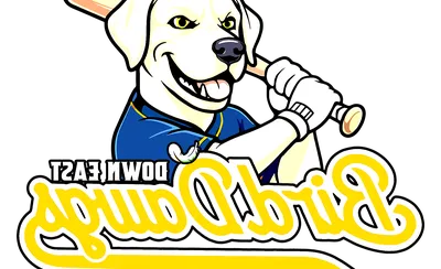 Down East Bird Dawgs
