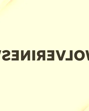 Michigan Wolverines vs. Dayton Flyers 