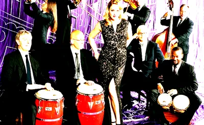Pink Martini