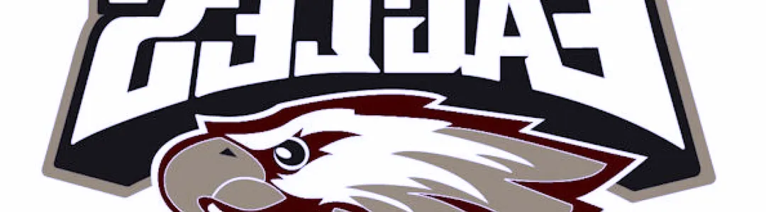Robert Morris College Eagles