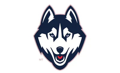 UConn Huskies Basketball