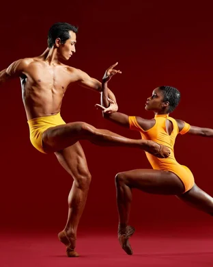 Velocity - A Dance Concert